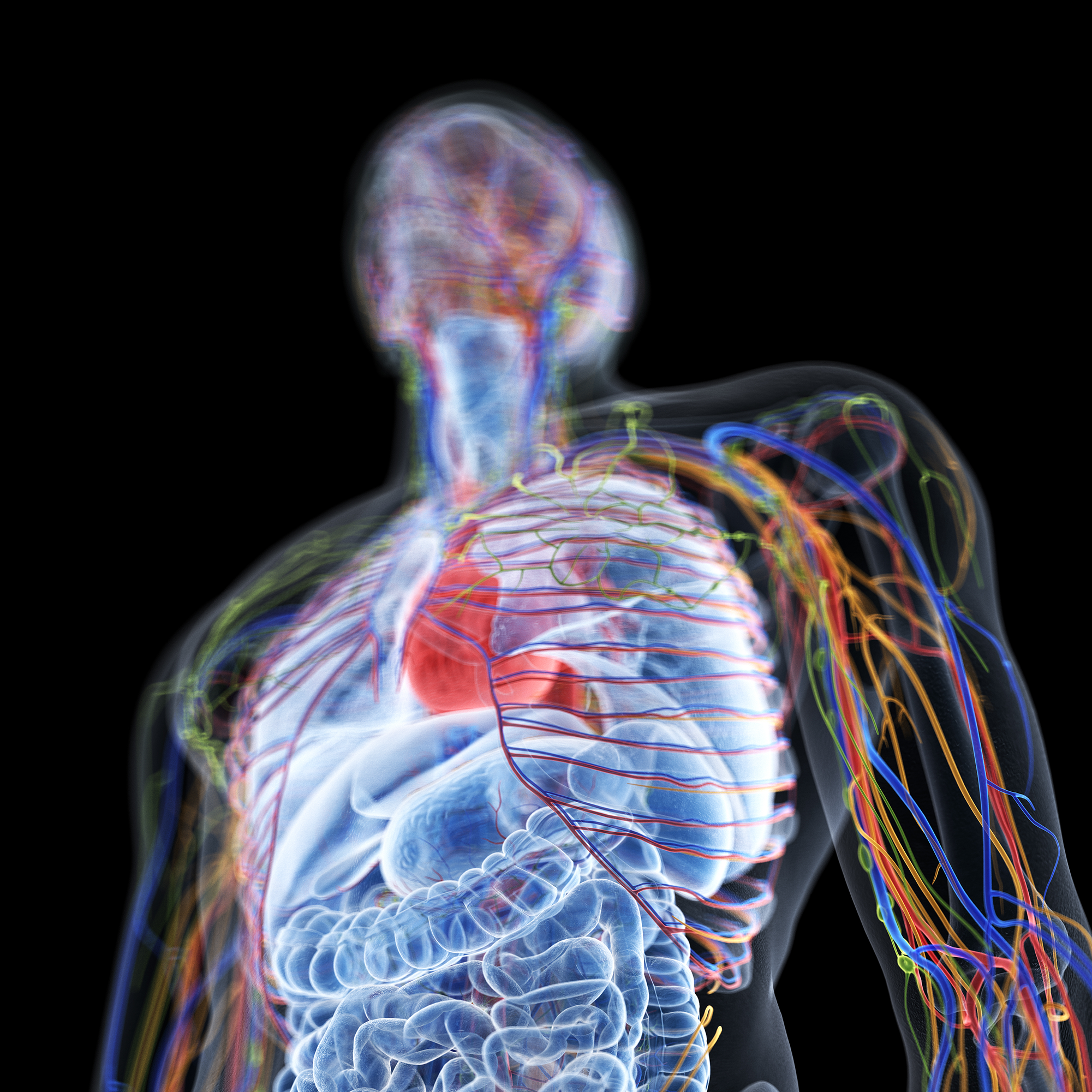 An Emergency Radiologist’s Perspective on Traumatic Vascular Injuries