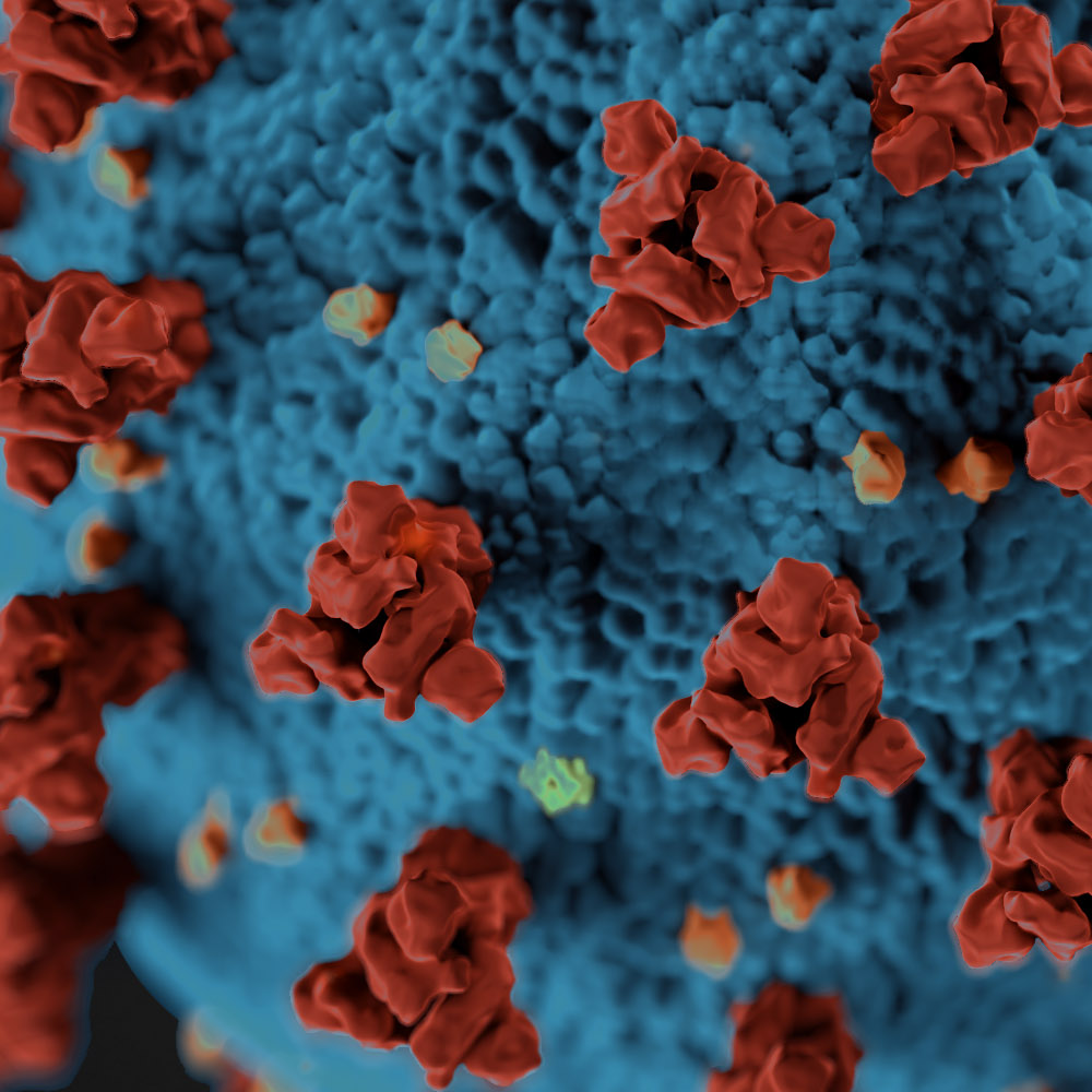 From the AJR Files: COVID-19