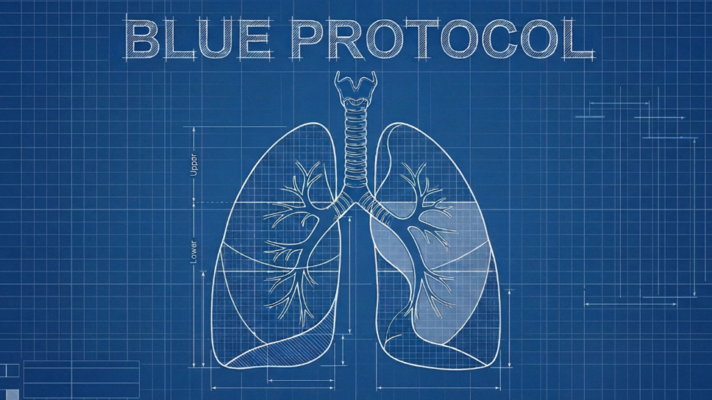 Thoracic POCUS in Acute Respiratory Failure: BLUE Protocol and Lung Aeration Scoring