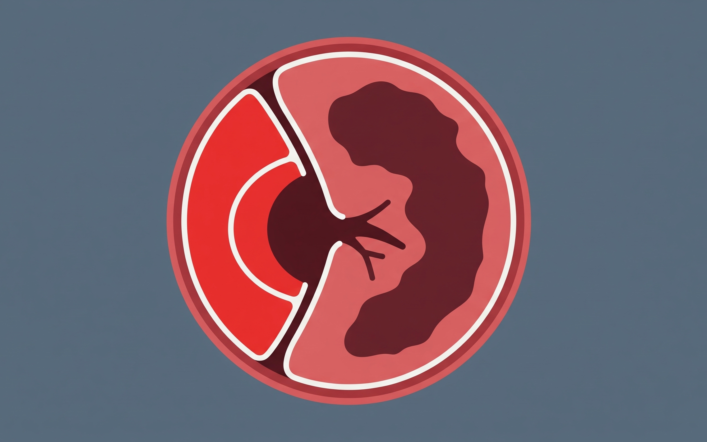 True vs. False Lumen in Acute Aortic Dissection