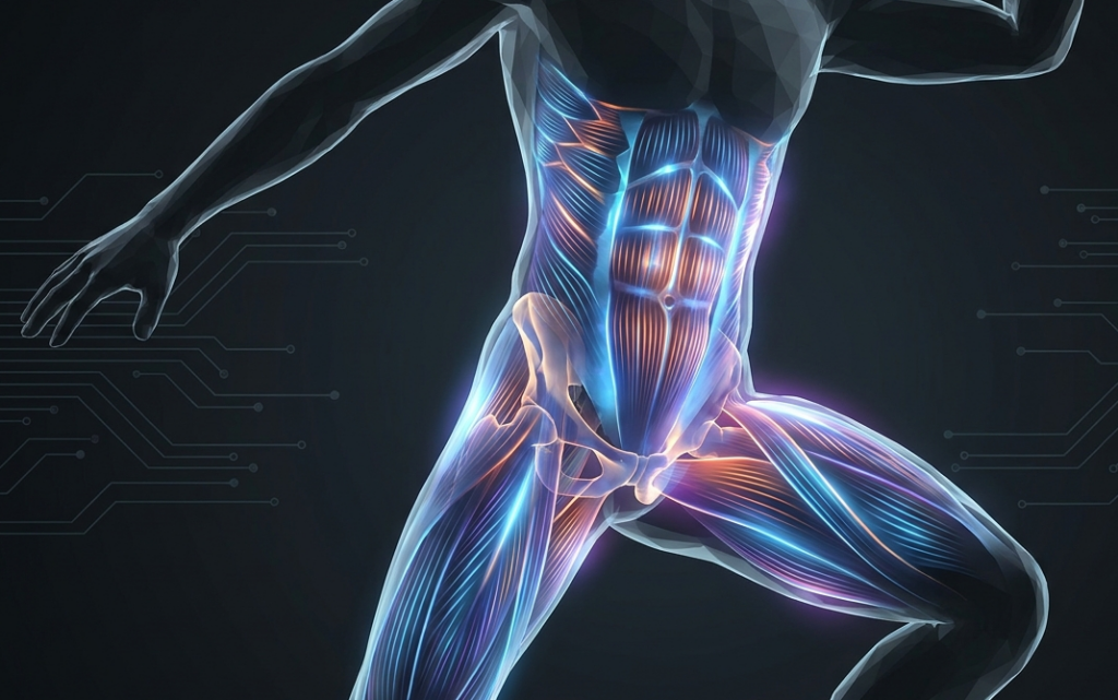 Athletic Groin Pain—Beyond the Pubic Symphysis
