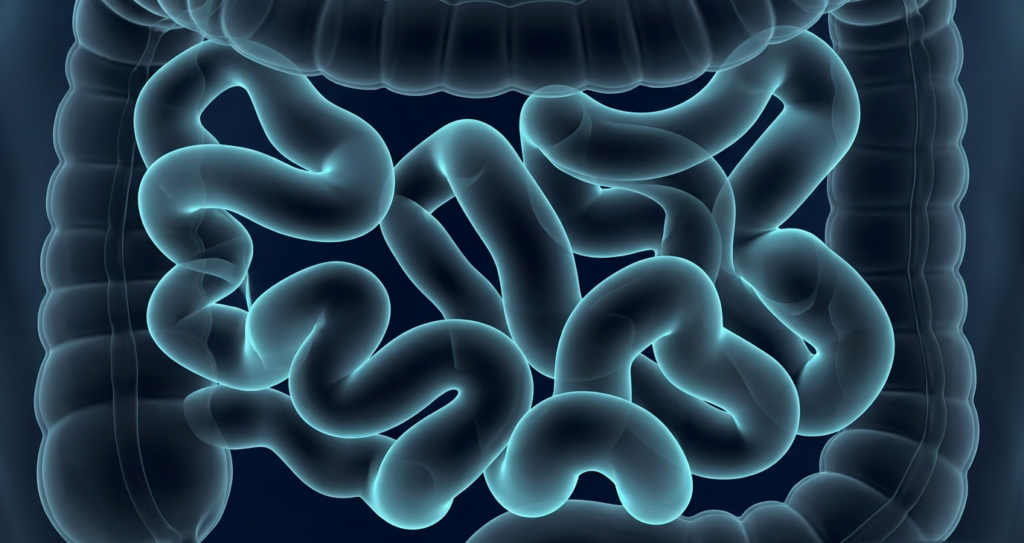 Next-Gen CT: Dark Oral Contrast Agents